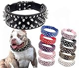 Hoot PU Leather Adjustable Spiked Studded Dog Collar 2' Wide 25 Spikes (XS(Neck 15'-18'), Black)