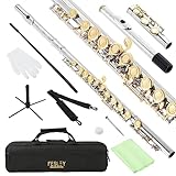 Fesley C Flutes Closed Hole, 16 Keys Flute Instrument, Student Flute for Beginners Kids, Beginner Flute with Cleaning Kit, Case, Stand, Joint Grease, Tuning Rod, Gloves, Nickel/Gold