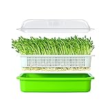 LeJoy Garden Seed Sprouter Tray BPA Free PP Soil-Free Big Capacity Healthy Wheatgrass Grower with Lid Sprouting Kit 13.4x9.84x4.72 inches,Green