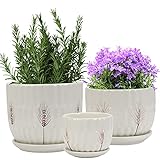 Laerjin Plant Pots with Drainage Holes and Saucers 4.17' & 5.62' & 6.88', Set of 3, Ceramic Round Modern Plant / Flower Pot with Tray For Garden, Outdoor, Small to Medium Sized