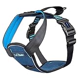 CarSafe Crash Tested Dog Safety Harness - Crash Tested to 32Kg/70lbs, Safely Secure Dog in The Car, Comfortable and Padded Design. for Toy, Small, Medium and Large Dogs (Size Medium)
