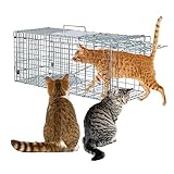 Cat Trap Cage 24'x8'x7' Live Animal Trap for Stray Cats Raccoon Chipmunks Opossum Squirrel Chicken Mole Gopher Rabbits Skunk, Foldable & Easy to Use, 1 Pack