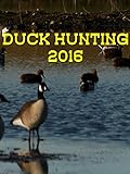 Duck hunting 2016
