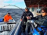 The Search for 1000-Pound Atlantic Bluefin- Nova Scotia