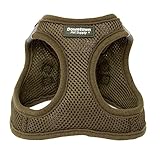 Downtown Pet Supply Step in Dog Harness for Small Dogs No Pull, Small, Hunter Green - Adjustable Harness with Padded Mesh Fabric and Reflective Trim - Buckle Strap Harness for Dogs