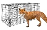 VASALAID Live Animal Trap Cage, 43.6 X 16.9 X 18.1inch Catch and Release, Humane Live Trap Cage Indoor & Outdoor Foldable Live Trap for Foxes, Large Dogs, Coyotes, Raccoons, Woodchucks