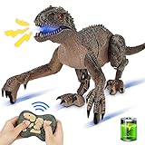 Remote Control Dinosaur Toys for Kids, Rechargeable Robot Dinosaur with Light & Roaring - One-Key Demo/ Vivid Walking/Auto-Sleep, Dinosaur Toys for Kids 3-5 5-7 8-12 Boys Girls Birthday Gift (Silver)