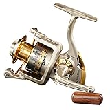 Diwa Spinning Fishing Reels for Saltwater Freshwater 1000 2000 3000 4000 5000 6000 Series Fishing Spool Left/Right Interchangeable Trout Carp Spinning Reel 10 Ball Bearings Light and Smooth (4000)