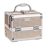 Frenessa Makeup Train Case Portable Cosmetic Box Makeup Organizer Case Jewelry Organizer 2 Trays with Mirror Makeup Storage Box for Girls Makeup Artist, Craft, Toiletry Travel Train Case Rose Gold