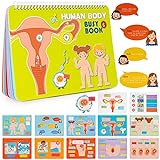 Freebear Busy Book, Educational Toys, Anatomy Human Body Safety Education Books, Kindergarten Preshool Learning Activities, Toddler Travel Toys for Kids 4 5 6 7 8 Years