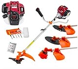 Gx50 Brush Cutter 4 in 1 Gas Weed Eater 4 Cycle Weed Wacker Combo 4 Strokes Power Garden Tool