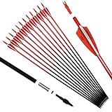 Pointdo 30inch Carbon Arrow Fluorescence Color Targeting and Hunting Practice Arrows for Recurve and Compound Bow with Removable Tips (Fluorescein Red)
