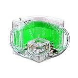 EXBEPE Ant Farm for Kids Safety and Environment Gel Ant Colony Ecosystem Terrarium, Ant Habitat Science Learning Kit(with No Ant)…