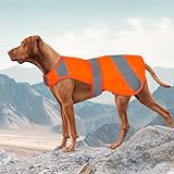 Orange Dog Vest High Visibility Safety, Dog Hunting Vest, Dog Jacket Soft Adjustable, Reflective Dog Vest for Small Medium Large Dogs