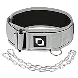 Optimance Multi Purpose Weight Lifting Belt & Weighted Dip Belt,Functional Exercise, Strength Training, Powerlifting, Deadlift, Squat, Olympic Lifts,Weighted Dips, Pull-ups 100% Nylon (Small, Gray)