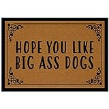 BinHang Shoe Mats for Entryway Indoor,Indoor Rugs for Entryway Hope You Like Big Ass Dogs Woven Braided Low-Profile Easy to Clean (23.6'X15.7')