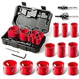 Bi-Metal Hole Saw Kit, HYCHIKA 17 Pcs High Speed Steel 3/4' to 2-1/2' Hole Saw Set in Case with Mandrels, Hole Saw Bit, Hole Saw for Thin Metal, Hard Wood, Drilling PVC Board, and Plastic Plate