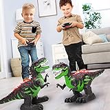TEMI 8 Channels 2.4G Remote Control Dinosaur Toys for Kids 3 4 5 6 7 Years, Electric Stunt RC Walking T- Rex Toy with Lights and Sounds Powered by Rechargeable Battery, for Boys Girls