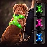 Flashseen LED Dog Harness,Lighted Up USB Rechargeable Pet Harness,Illuminated Reflective Glowing Dog Vest Adjustable Soft Padded No-Pull Suit for Small,Medium,Large Dogs (Green, M)