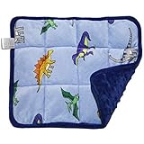 MAXTID Weighted Lap Pad Blanket for Kids 5 Lbs - Sleep Plush Travel Size Blue Dinosaur 16'x22' for Boys Gift