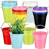 16 Pack Small Metal Buckets with Handle Colored Galvanized Bucket Decorative Mini Sand Buckets Craft Bucket Galvanized Party Decorations for Kids Crafts Table Centerpieces Party Ornaments, 16 Colors