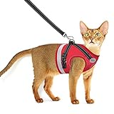 Cat Harness and Leash for Walking, Escape Proof Soft and Breathable Adjustable Vest Harness for Cats, Lightweight Easy to Control Small Dog Kitten Harness, Comfortable Outdoor Jacket