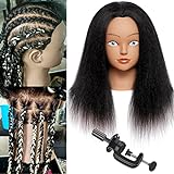 'N/A' Mannequin Head Human Hair 100% Real Hair Mannequin Head Doll Head for Hairdresser Practice Styling Cosmetology Manikin Head Hair with Free Clamp Stand (14 inch, D-L)