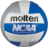Molten Camp Volleyball (Blue/Silver/White, Official)