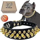 TEEMERRYCA Black Leather Dog Collar with Gold Spikes for Small Medium Large Pets, Pit Bulls/Bulldog, Keep Dog Safe from Grabbing by Huge Dogs, L(15'-18.5')