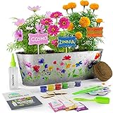 Paint & Plant Flower Craft Kit for Kids - Best Birthday Crafts Gifts for Girls & Boys Age 5 6 7 8-12 Year Old Girl Christmas Gift - Children Gardening Kits, Art Projects Toys for Ages 5-12 Years