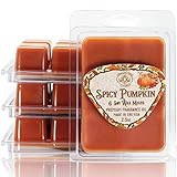 Way Out West Candles - Scented Wax Melts - Highly Fragrant Air Freshener - 4 Pack Set of 6 Melt Cubes (4, Spicy Pumpkin)