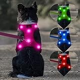 DOMIGLOW Safety LED Dog Harness - Easy Control No Pull Light Up Dog Vest - USB Rechargeable Glowing Dog Harness Perfect for Night Walking & Camping (Hotpink, L)