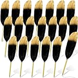 Chivao 20 Pcs Feather Quil Ballpoint Pens Bulk 0.5mm Ink Feathered Vintage Pens Refined Plated Rod Pen for Writing Guest Signature Office Party Favors (Black)