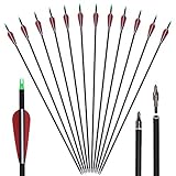 Huntingdoor 30' Archery Carbon Target Arrows Hunting Arrows with Adjustable Nock and Replaceable Field Points for Compound Bow or Recurve Bow (Pack of 12)