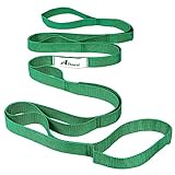 Abiarst Stretching Strap Yoga Strap for Physical Therapy, 10 Loops Yoga Straps for Stretching, Non-Elastic Stretch Strap for Pilates, Flexibility, Exercise, Stretch Band for Women & Men (Green)