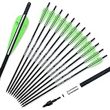 Pointdo 20inch Carbon Crossbow Bolts Crossbow Hunting Arrows with 4' Vanes and Replaced Arrowhead/Tip (12 Pack) (Green White)