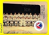 (CI) Baltimore SkipJacks, Team Photo Hockey Card 1989-90 ProCards AHL 87 Baltimore SkipJacks, Team Photo