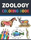 Zoology Coloring Book: Incredibly Detailed Self-Test Zoology Coloring Book for Veterinary Anatomy Students | Zoology Self test Guide for Anatomy Students. Zoology Coloring Workbook for Kids & Adults.