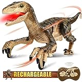 Hot Bee Remote Control Robot Dinosaur Toys for Kids 4-12, Realistic 18.6' Jurassic Velociraptor Toys w/Light, Roars & Shaking Head, Tail Wagging - RC Walking Dinosaur for Boys Gifts
