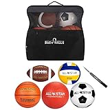 Bag of Balls – Basketball, Soccer Ball, Football, Volleyball, Playground Ball with Sports Equipment Bag and Pump