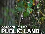 October 18 - Public Land: Ground Encounter With a Decoy