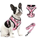 Cat Vest Harness and Small Dog Vest Harness for Walking, All Weather Mesh Harness, Cat Vest Harness with Reflective Strap, Step in Adjustable Harness for Small Cats (Camouflage Pink, S)