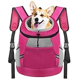 Dog Backpack Carrier, Front Chest Carrier for Small Dogs, Pet Carrying Bag for Travel Hiking Cycling Outdoor Rose M