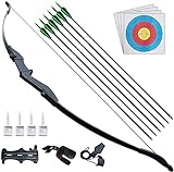 D&Q Archery Bow and Arrow for Adults Beginner Teenagers Youth, Takedown Recurve Bow 30Lbs 40Lbs Left and Right Handed, Archery Set Adults for Outdoor Target Hunting Training Practice (Black,40lbs)