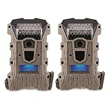 Wildgame Innovations Wraith 18MP Trail/Game Camera Kit, 2 Pack