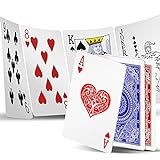 INTEGEAR Playing Cards 2 Decks Waterproof Plastic Poker Cards for Texas Holdem Poker Go Fish and More Card Games Standard Index 2.5' x 3.5'