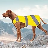 Orange Dog Vest High Visibility Safety, Dog Hunting Vest, Dog Jacket Soft Adjustable, Reflective Dog Vest for Small Medium Large Dogs