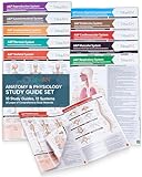 TribeRN Anatomy & Physiology Study Guides - Set of 10 Human Anatomy Guides for Nursing Students, School, College, Medical Professions - 12 Topics on Body Systems w/ Reference Charts & Terminology