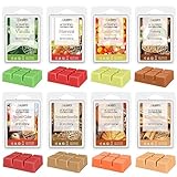 Salubrito Fall Scented Wax Melts, Autumn Wax Cubes Strong Scented, 8x2.5oz, Natural Soy Wax Melts Variety Gift Set for Warmer - Pumpkin Spice, Cinnamon, Harvest, Nutmeg and More