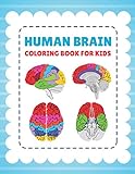 Human Brain Coloring Book For Kids: Brain Art & Anatomy Workbook for Kids & Adults | Human Brain Model Anatomy, Human Brain Diagram, Human Brain Art, ... Brain and Human Learning, Human Brain Anatomy